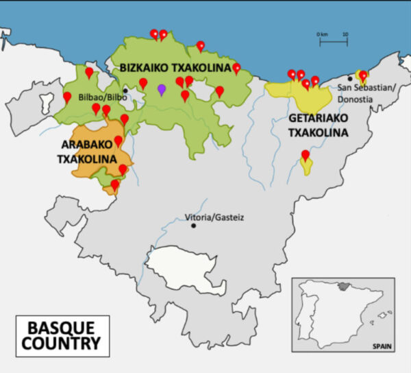 Ruta del txakoli: la mejor experiencia de enoturismo inmersivo
