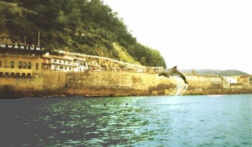 camino_de_donosti_pakito_delfin_puerto