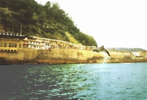 camino_de_donosti_pakito_delfin_puerto