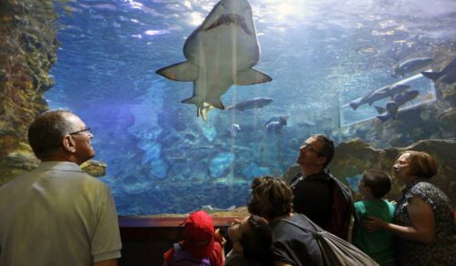 Aquarium de San Sebastián